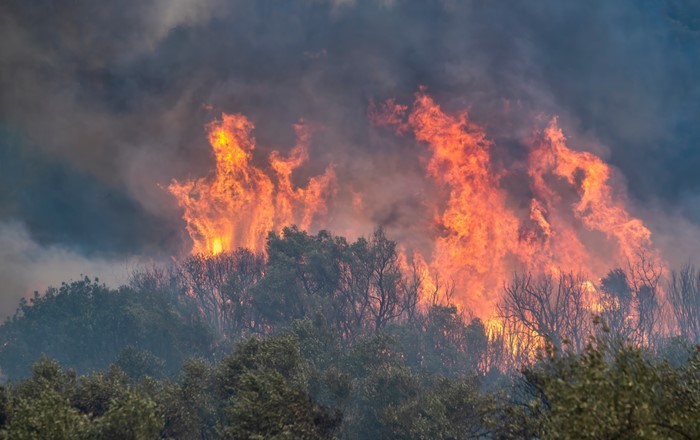 Greek wildfire