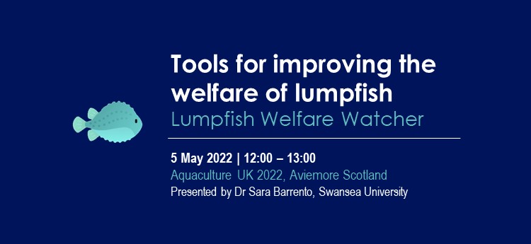 Picture showing the lumpfish logo in light blue in a dark blue background. Title: Tools for improving the welfare of lumpfish, subtitle: Lumpfish welfare watcher; subheadings: 5th of May 2022,12:00 to 13:00, Aquaculture UK 2022 - Aviemore Scotland. Presented by Dr Sara Barrento 