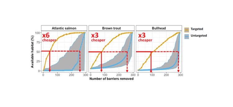 Graph comparing targeted and untargeted river barrier removal for 3 species of fish: Atlantic salmon, brown trout and bullhead, based on available habitat and the number of barriers removed.
