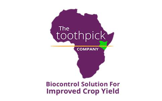 image of toothpick company logo