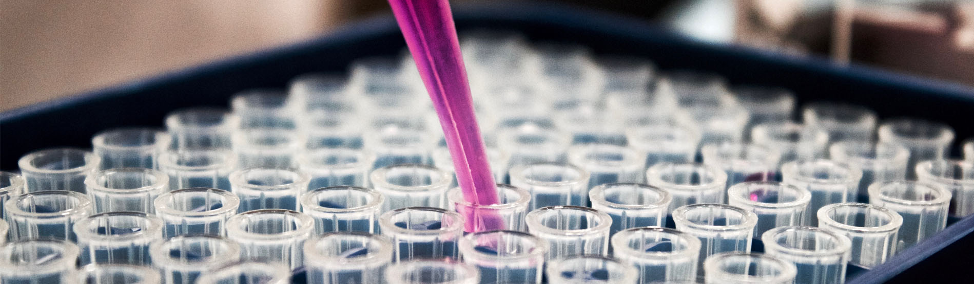 Image of a pipette with purple chemical inside and many test tubes 