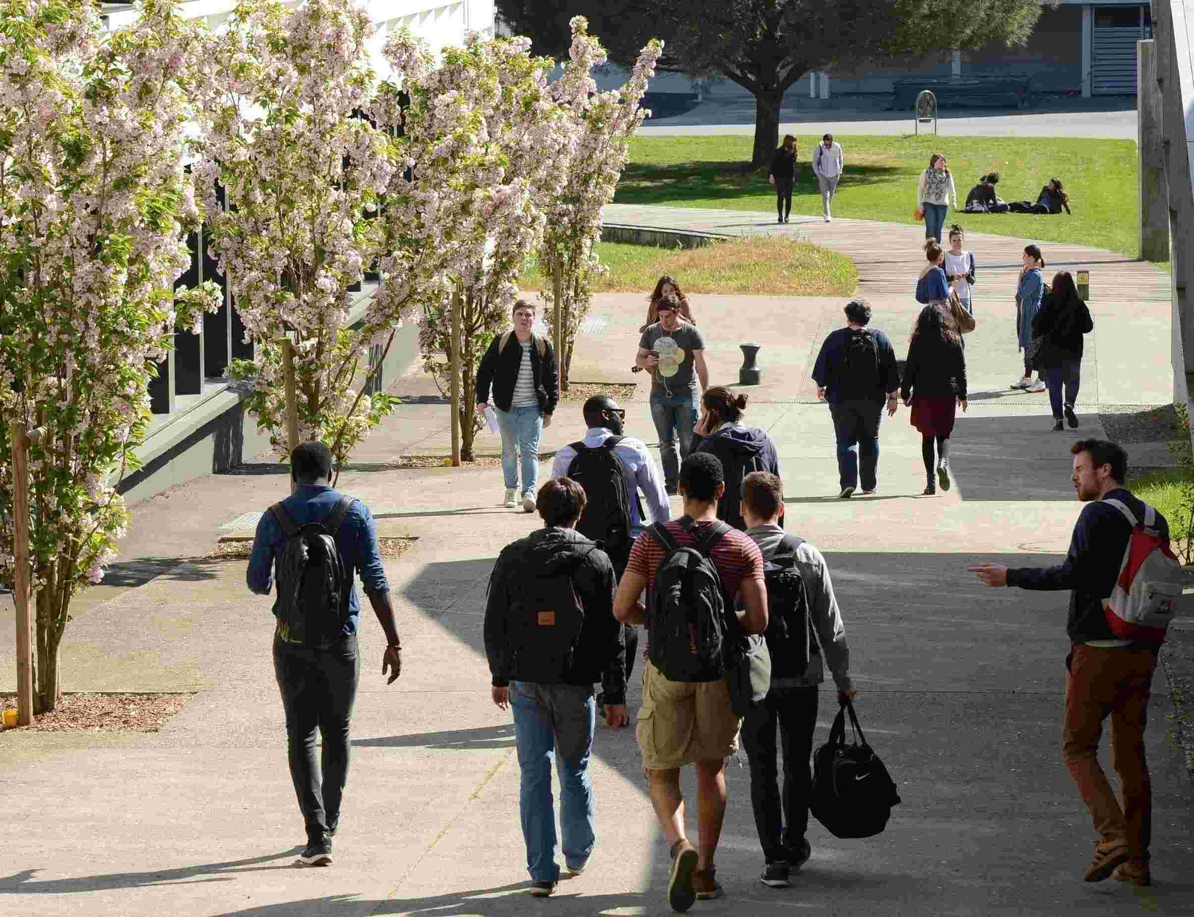 People walking on campus