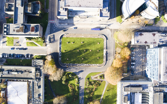 Aerial view of Singleton Park campus