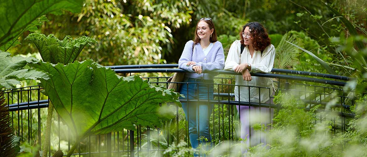 Swansea University students standing on bridge looking onto the pond in the Botanical Garden, Singleton Campus