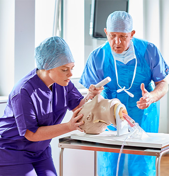 Student and lecturer examining modl 