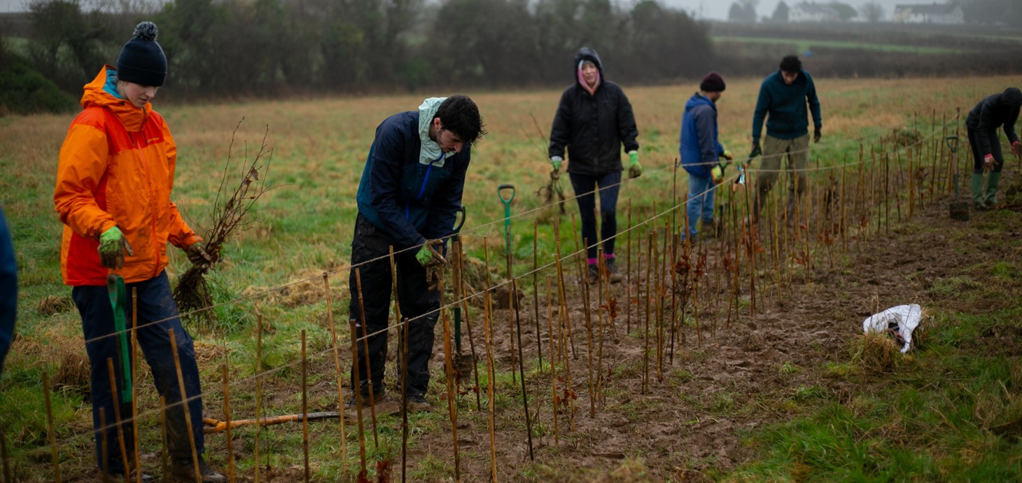 Volunteers planting trees in a field.
