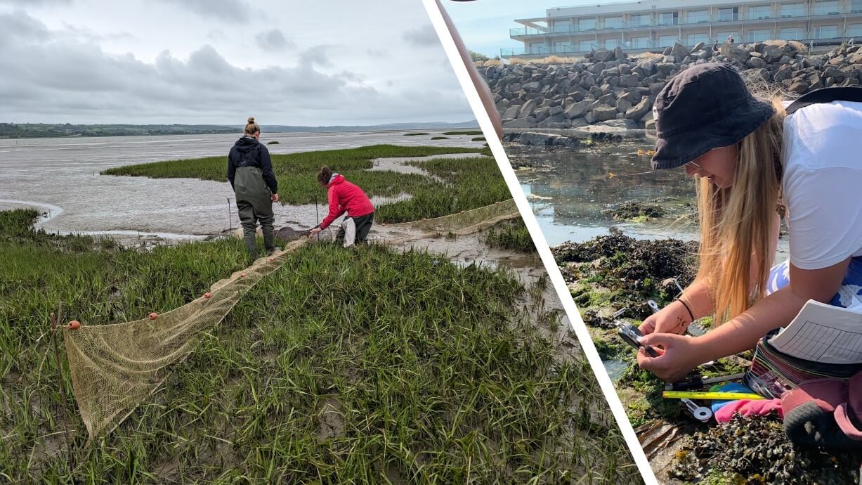 A collage of photos showing PhD students from Swansea University conducting fieldwork. Credit: (right) Ruby George; (left) Nupur Kale.