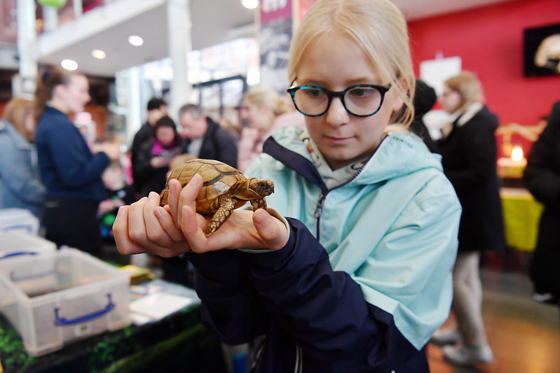 Girl with a turtle